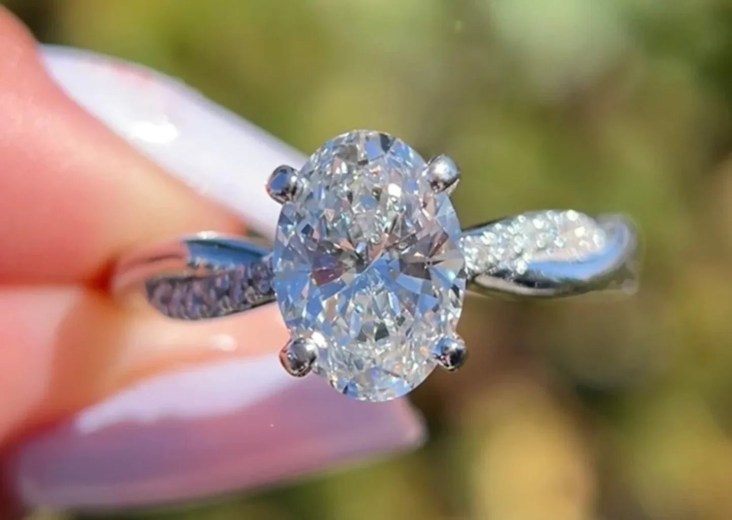 wmremove-transformed (1)